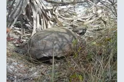 738 SW Ravenswood Lane, Port Saint Lucie, FL 34983 - Photo 51