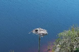 37 Shell Rd, Okeechobee, FL 34974 - Photo 33