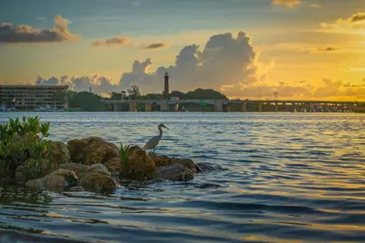 8125 Hobbes Way, Palm Beach Gardens, FL 33418 - Photo 47