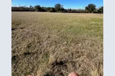 5123 Elmore Road, Marianna, FL 32446 - Photo 7