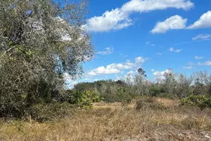 18133 NW 284th St, Okeechobee, FL 34972 - Photo 1