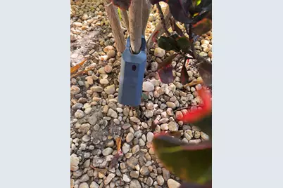 22615 SW 66th Avenue #415, Boca Raton, FL 33428 - Photo 19