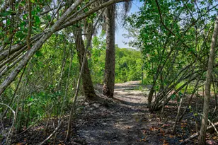 10561 SE Le Parc, Jupiter, FL 33458 - Photo 79