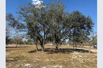 18990 NW 284th Street, Okeechobee, FL 34972 - Photo 3