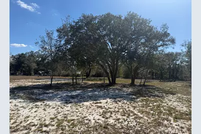 18990 NW 284th Street, Okeechobee, FL 34972 - Photo 5