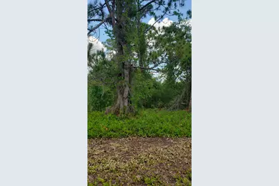 932 Island Parkway NE, Lake Placid, FL 33852 - Photo 3