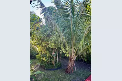 5000 SW 5 Terrace, Miami, FL 33134 - Photo 29