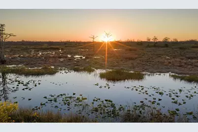 24 Dunbar Road, Palm Beach Gardens, FL 33418 - Photo 81