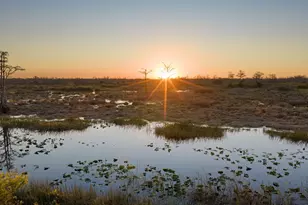 24 Dunbar Rd, Palm Beach Gardens, FL 33418 - Photo 81