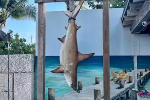 111 SE 1st Ave, Delray Beach, FL 33444 - Photo 45