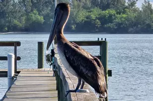 2515 N Indian River Dr, Fort Pierce, FL 34946 - Photo 85