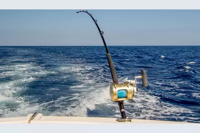 4065 Crystal Lake Drive, Deerfield Beach, FL 33064 - Photo 55