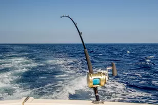 4065 Crystal Lake Dr, Pompano Beach, FL 33064 - Photo 55