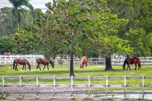 4065 Crystal Lake Dr, Pompano Beach, FL 33064 - Photo 59