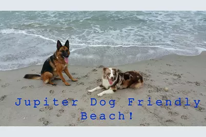 603 Xanadu Place, Jupiter, FL 33477 - Photo 39