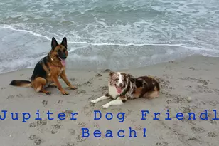 603 Xanadu Pl, Jupiter, FL 33477 - Photo 39