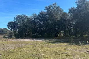 18034 NW 286th St, Okeechobee, FL 34972 - Photo 9