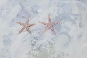 163 Spoonbill Ct, Jupiter, FL 33458 - Photo 67