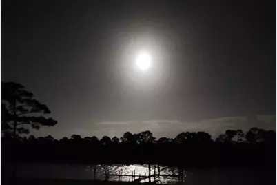 10125 SW Green Ridge Lane #Lane, Palm City, FL 34990 - Photo 15