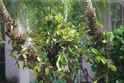 14239 Calypso Lane, Wellington, FL 33414 - Photo 57