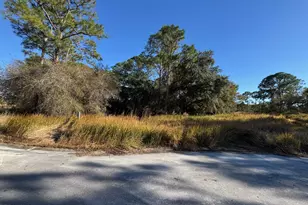 10653 Lighter Wood Ln, Fort Pierce, FL 34945 - Photo 1