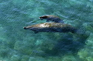 2700 N Ocean Dr, West Palm Beach, FL 33404 - Photo 99