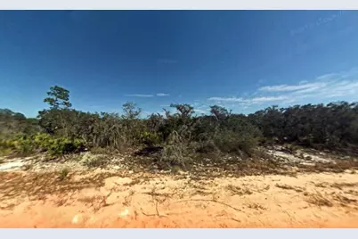 2400 Mink Road, Avon Park, FL 33825 - Photo 1