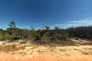 2400 Mink Rd, Avon Park, FL 33825 - Photo 1