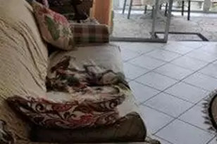 715 Lori Dr, Palm Springs, FL 33461 - Photo 5