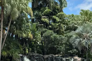 147 Deer Creek Blvd, Deerfield Beach, FL 33442 - Photo 63