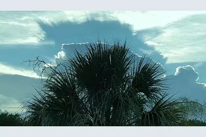 1818 10th Avenue, Vero Beach, FL 32960 - Photo 55