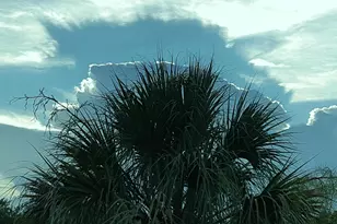 1818 10th Ave, Vero Beach, FL 32960 - Photo 55