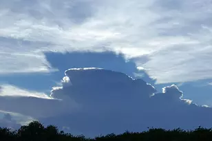 1818 10th Ave, Vero Beach, FL 32960 - Photo 43