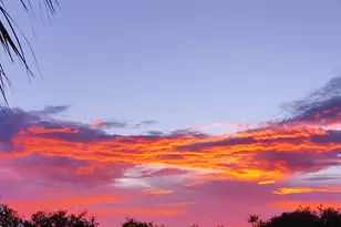 1818 10th Ave, Vero Beach, FL 32960 - Photo 37