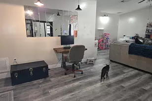 211 NE 3rd Terrace, Williston, FL 32696 - Photo 17