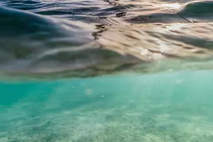 1135 Turnbridge Dr, Jupiter, FL 33458 - Photo 57