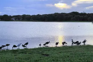 3130 Millwood Terrace, Boca Raton, FL 33431 - Photo 31