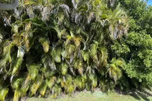 5951 Parkwalk Dr, Boynton Beach, FL 33472 - Photo 5