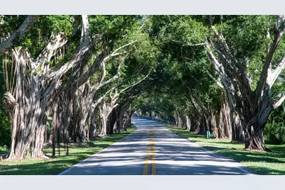 9025 SE Bridge Road #B-1, Hobe Sound, FL 33455 - Photo 7