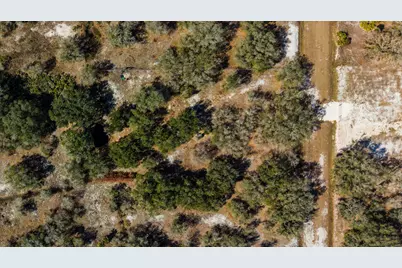 21486 NW 262nd Street, Okeechobee, FL 34972 - Photo 3