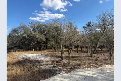 22134 NW 264th Street, Okeechobee, FL 34972 - Photo 5