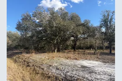 22134 NW 264th Street, Okeechobee, FL 34972 - Photo 3