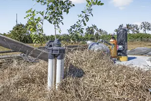 16296 Deer Path Ln, Wellington, FL 33470 - Photo 9