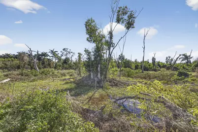 16296 Deer Path Lane, Wellington, FL 33470 - Photo 15