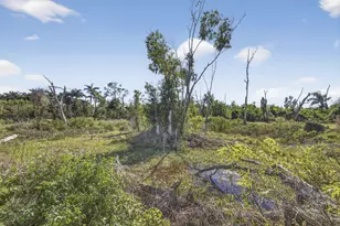 16296 Deer Path Ln, Wellington, FL 33470 - Photo 15