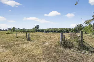 16296 Deer Path Ln, Wellington, FL 33470 - Photo 7