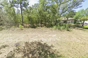 124 S Oak Village Blvd, Homosassa, FL 34446 - Photo 1