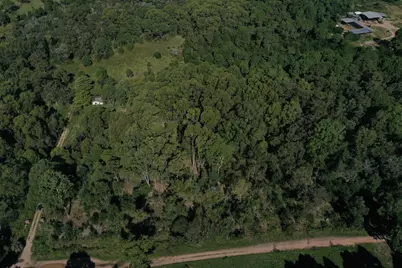 33373 Punta Del Diablo, Almont, CO  - Photo 15