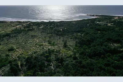 33373 Punta Del Diablo, Almont, CO  - Photo 19