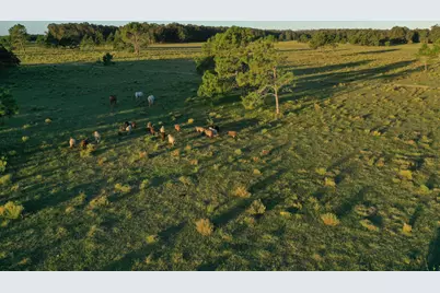 33373 Punta Del Diablo, Almont, CO  - Photo 23